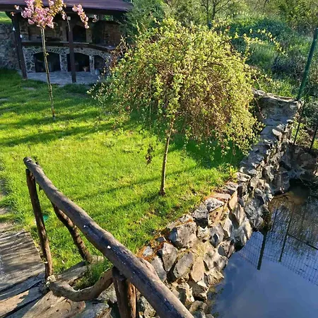 райски кьт
